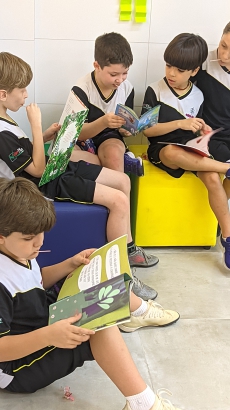 Ensino Fundamental I